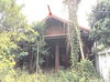 listing thumbnail image 25