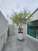 listing thumbnail image 47
