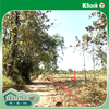 listing thumbnail image 13