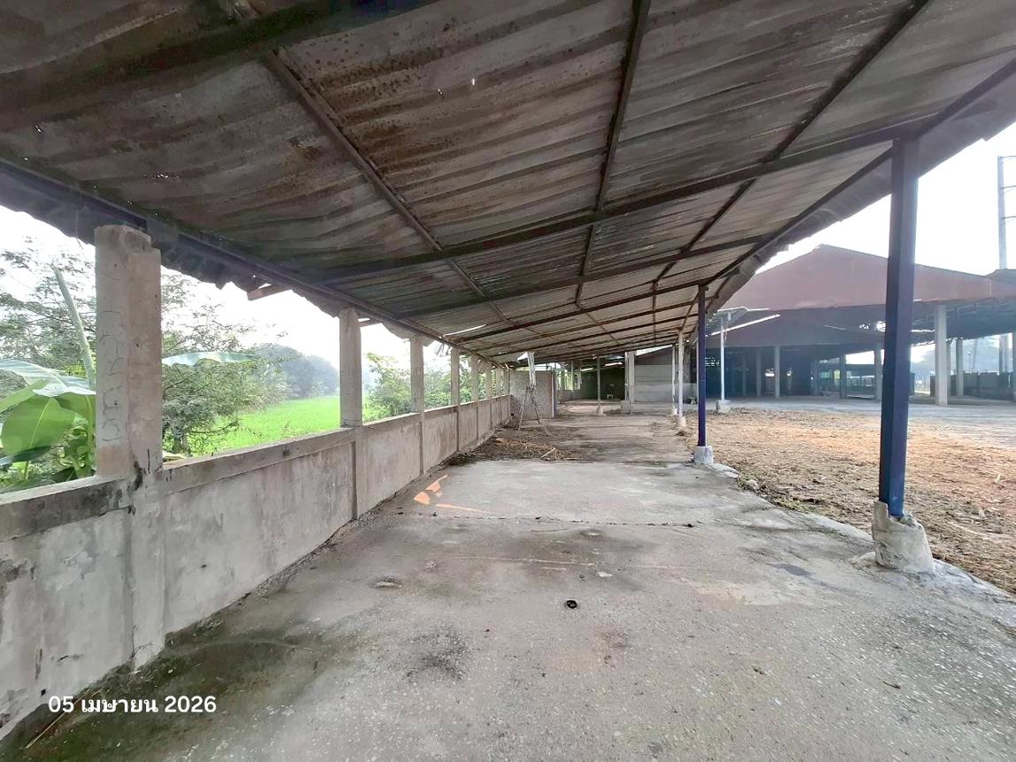 รูป โกดัง 979 ตร.วา เชียงแสน เชียงราย 4.8M - รูปที่ 30/40