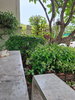 listing thumbnail image 21