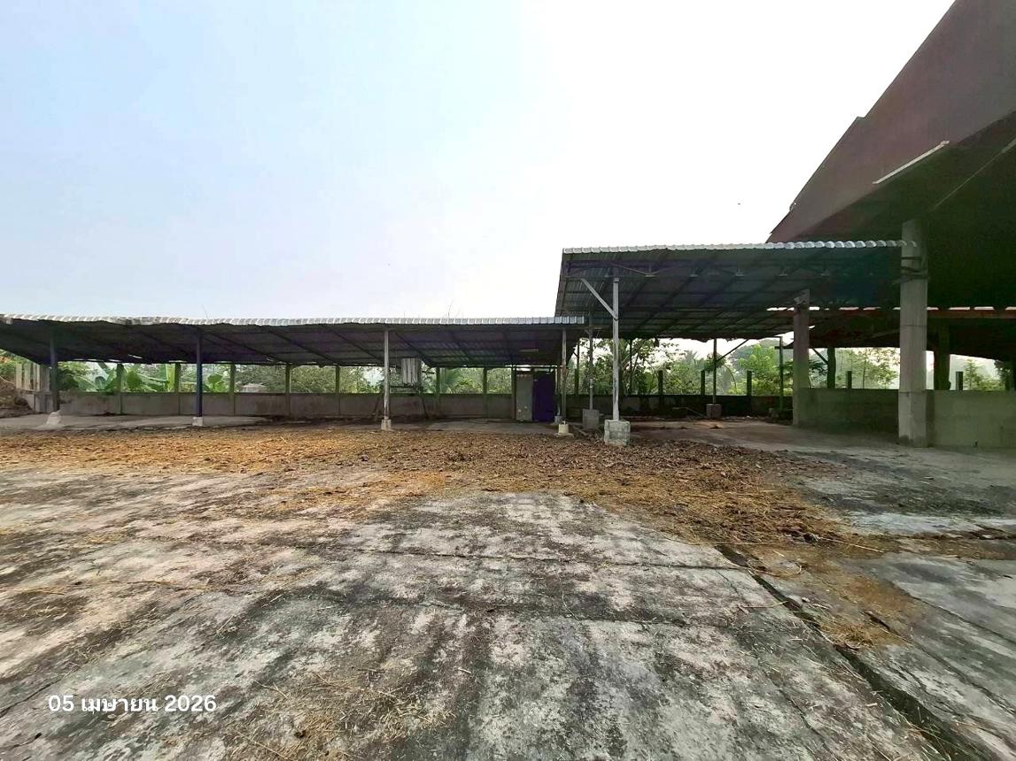 รูป โกดัง 979 ตร.วา เชียงแสน เชียงราย 4.8M - รูปที่ 29/40