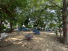 listing thumbnail image 24