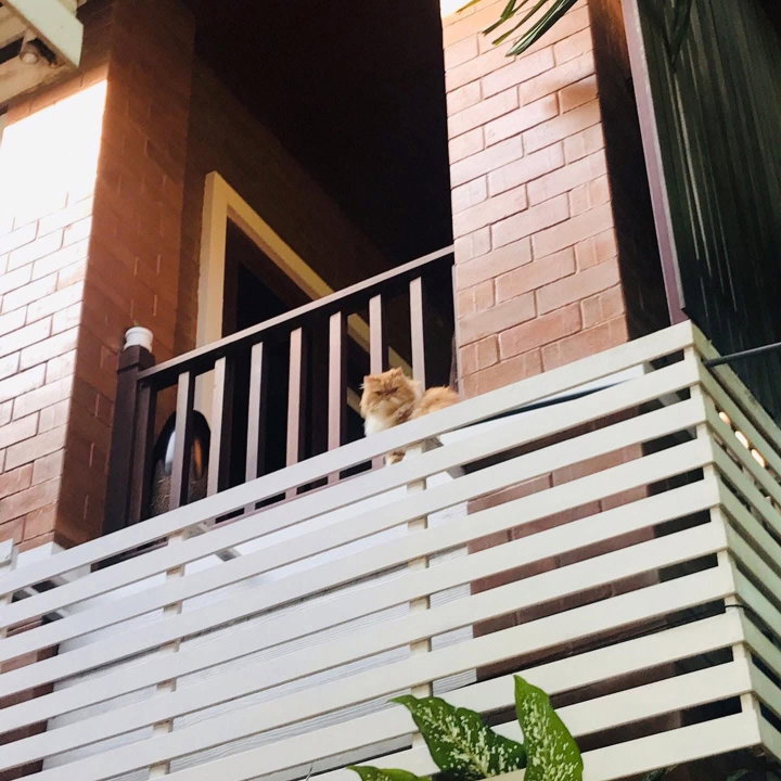 รูป ขายบ้านเดี่ยวสองชั้น ในโครงการ หมู่บ้านวังตาล ทำเล เชียงใหม่-หางดง เฟอร์นิเจอร์ครบ พร้อมเข้าอยู่ บ้านสวยร่วมรื่น มีความเป็นส่วนตัว-SW003645 - รูปที่ 7/15