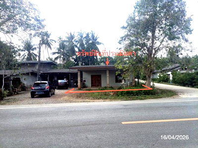 บ้านเดี่ยว ตรัง : บ้านเดี่ยว 78 ตร.วา รัษฎา ตรัง 1.3M