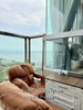 listing thumbnail image 16