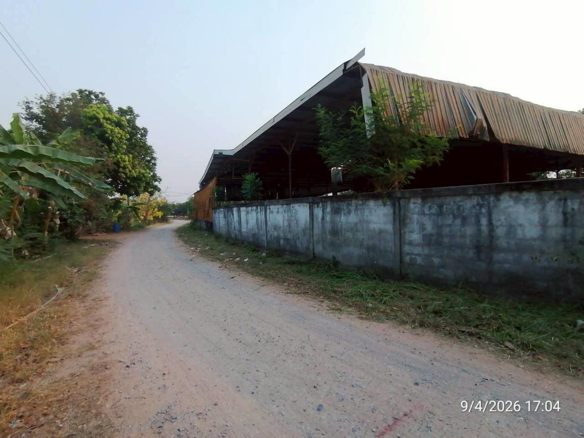 รูป บ้านเดี่ยว 810 ตร.วา ชุมแพ ขอนแก่น 2.5M - รูปที่ 53/58