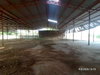 listing thumbnail image 41