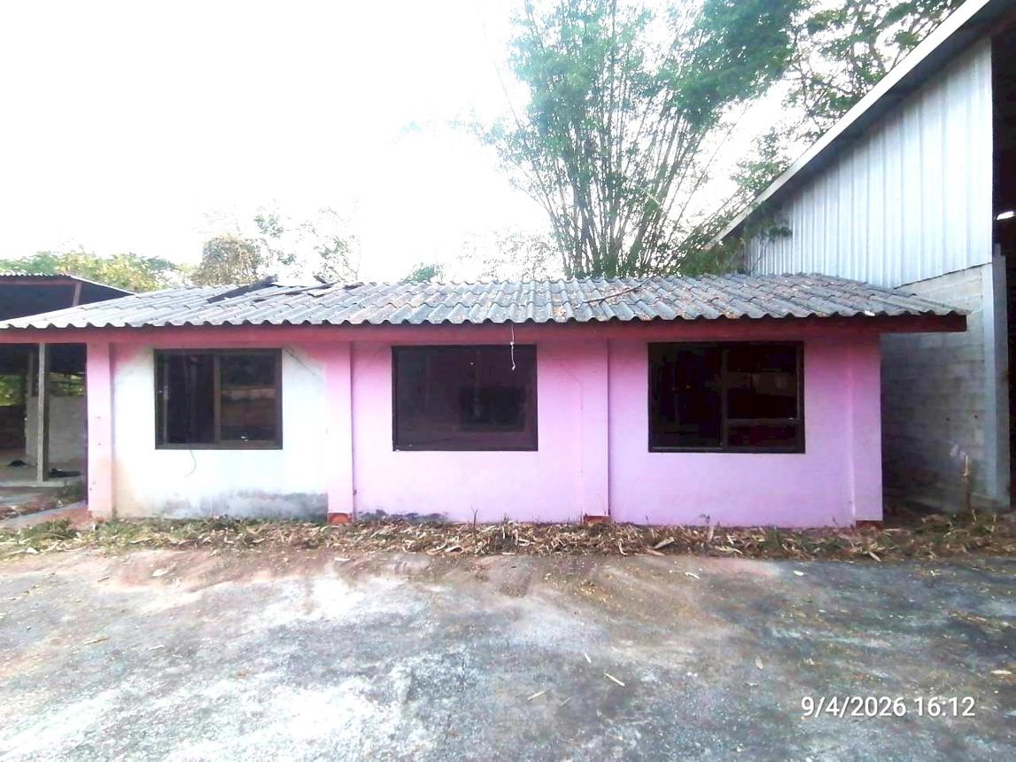 รูป บ้านเดี่ยว 810 ตร.วา ชุมแพ ขอนแก่น 2.5M - รูปที่ 28/58