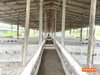 listing thumbnail image 28