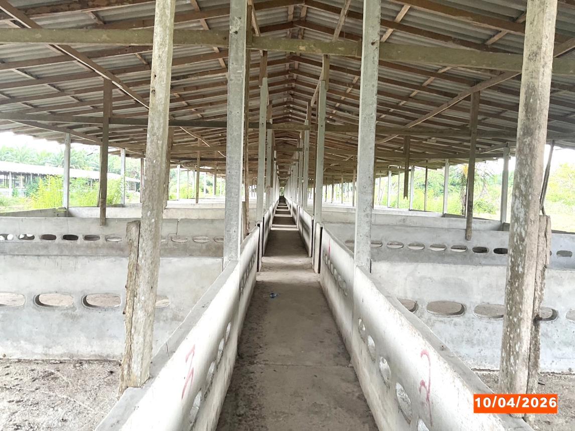 รูป ฟาร์ม 3649 ตร.วา เฉลิมพระเกียรติ นครศรีธรรมราช 9.9M - รูปที่ 29/36