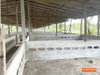 listing thumbnail image 29
