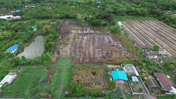 รูป ที่ดินแปลงสี่เหลี่ยมสวย ทำเล EEC ใจกลางเมืองฉะเชิงเทรา - รูปที่ 3/18