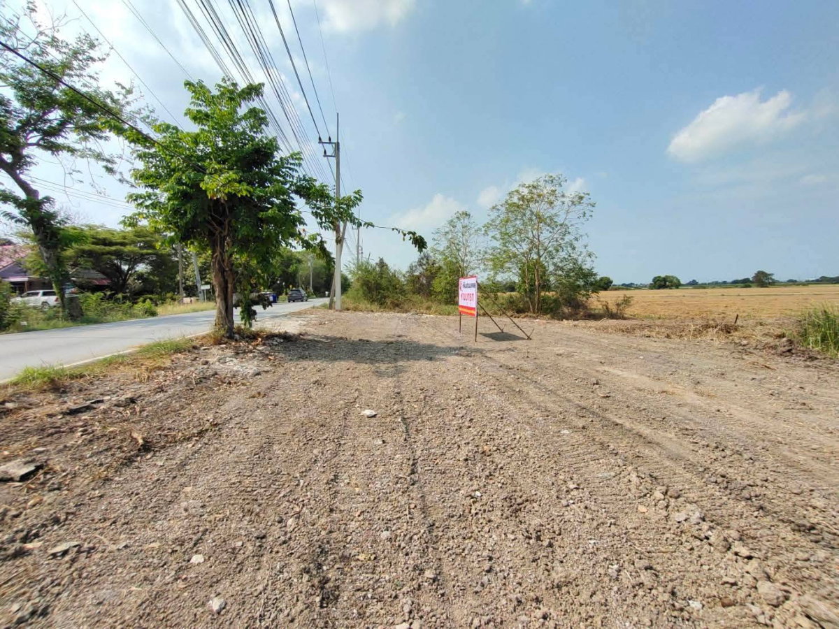 รูป ขายที่ดินยกแปลง 7 ไร่กว่า ติดถนนใหญ่ อ.เสนา อยุธยา เดินทางสะดวก เพียง 8.5 ล้าน - รูปที่ 9/17
