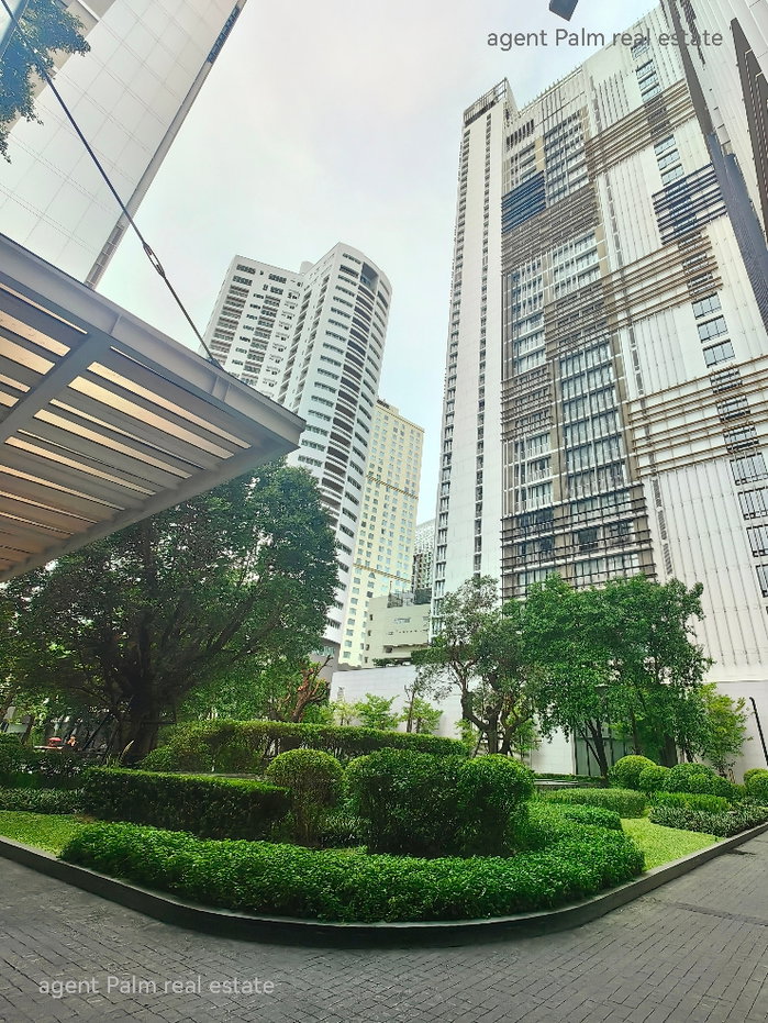 รูป 🏙️✨ ปล่อยเช่า + ขาย "คอนโดหรูใจกลางพร้อมพงษ์" วิวสวนเบญจกิติ ชั้นสูง ห้องมุมส่วนตัวสุดๆ ✨ 📍 Park 24 ถ.สุขุมวิท 24 - รูปที่ 21/21