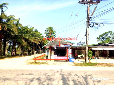 บ้านเดี่ยว ตรัง : บ้านเดี่ยว 42 ตร.วา วังวิเศษ ตรัง 781,000