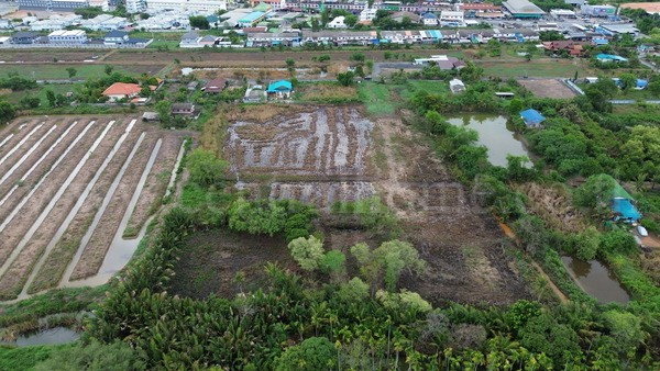 รูป ที่ดินแปลงสี่เหลี่ยมสวย ทำเล EEC ใจกลางเมืองฉะเชิงเทรา - รูปที่ 6/18