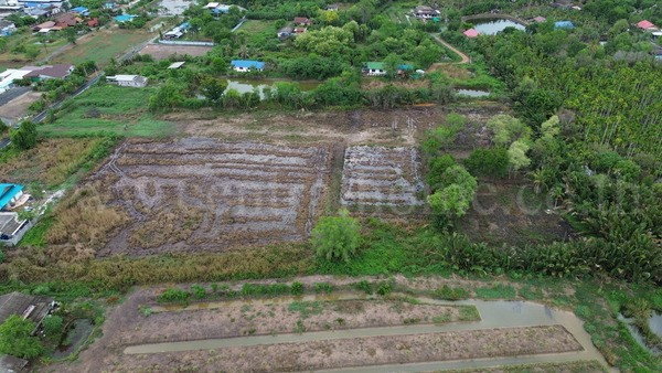 รูป ที่ดินแปลงสี่เหลี่ยมสวย ทำเล EEC ใจกลางเมืองฉะเชิงเทรา - รูปที่ 7/18