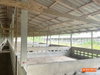 listing thumbnail image 19