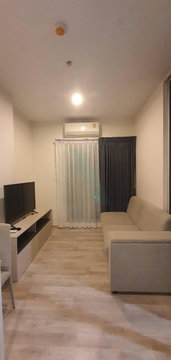 For Rent Condo NICHE MONO RAMKHAMHAENG Building B, Floor 8,1 bed room, Room size 31.00 sqm
