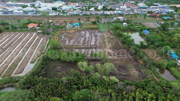 รูป ที่ดินแปลงสี่เหลี่ยมสวย ทำเล EEC ใจกลางเมืองฉะเชิงเทรา - รูปที่ 5/18