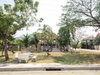 listing thumbnail image 49