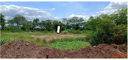 รูป ที่ดินเปล่า 1212 ตร.วา อำเภอนาหว้า นครพนม 11.3M - รูปที่ 2/3