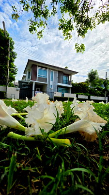 Houses for rent Rayong Provincial Hall : For Rent this house @Rayon̈g.  
