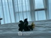 listing thumbnail image 14