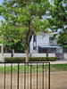 listing thumbnail image 3