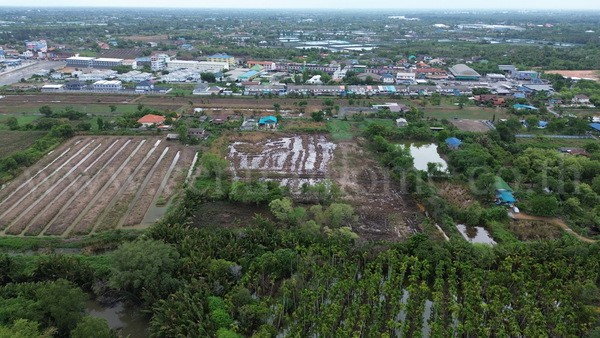 รูป ที่ดินแปลงสี่เหลี่ยมสวย ทำเล EEC ใจกลางเมืองฉะเชิงเทรา - รูปที่ 15/18