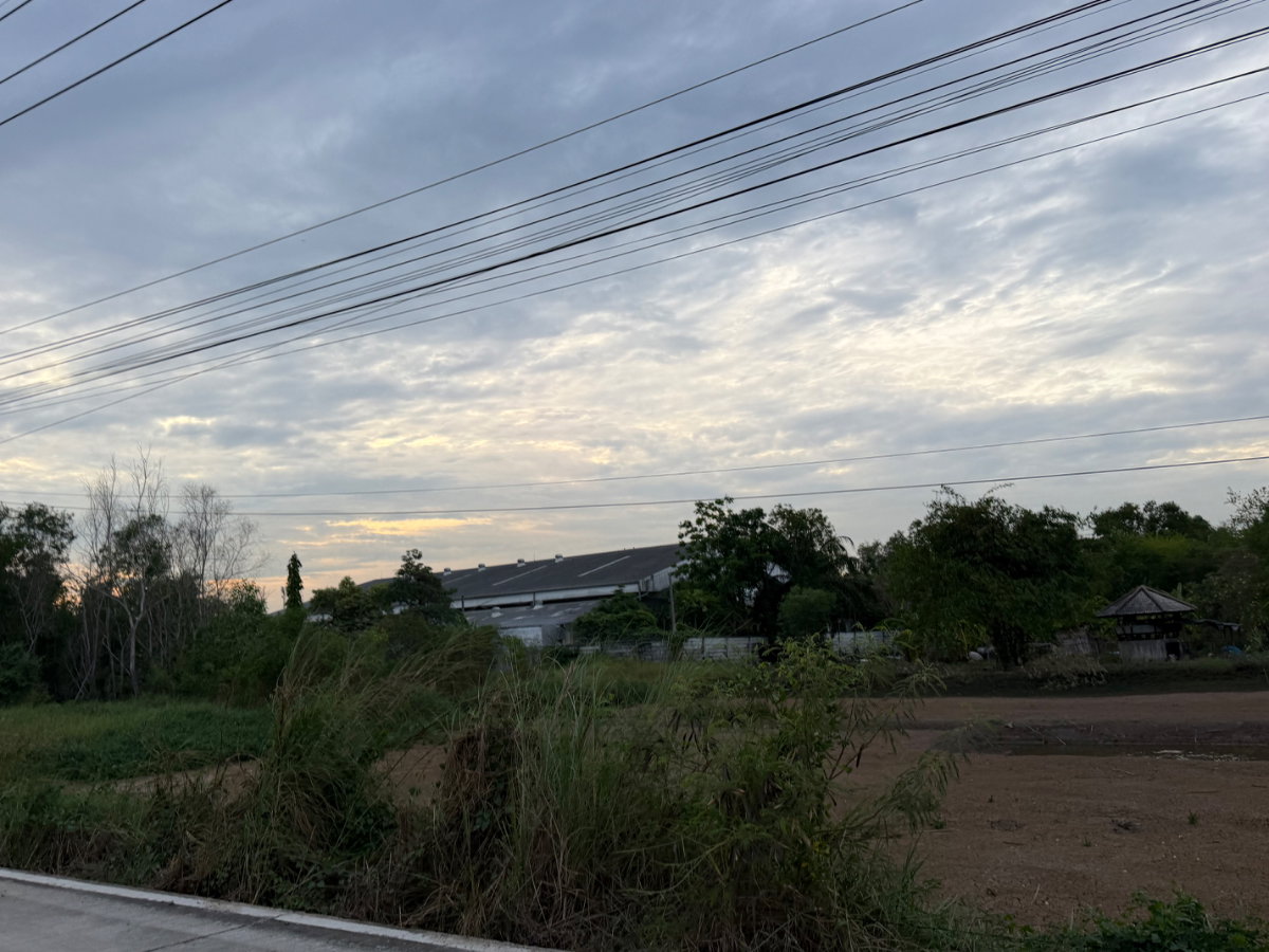 รูป ขายที่ดิน 4 ไร่ ปทุมธานี คลองห้า ทำเลดี เหมาะสร้างโรงงาน  - รูปที่ 10/16