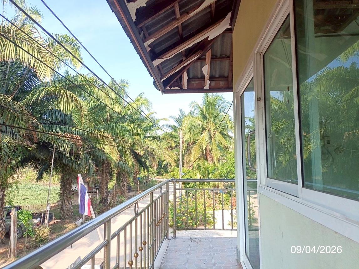 รูป บ้านเดี่ยว 42 ตร.วา วังวิเศษ ตรัง 781,000 - รูปที่ 24/28