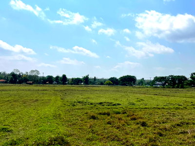Land for sale Hang Chat Lamphang : Land for sale in Hang Chat, Lampang. Great location on a concrete road.