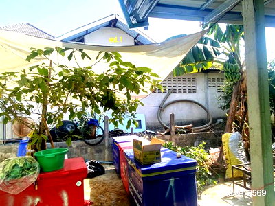 Houses for sale Chiang Yun Maha Sarakham : HOME 40.8 Sq.w. Chiang Yun Maha Sarakham for 492,000