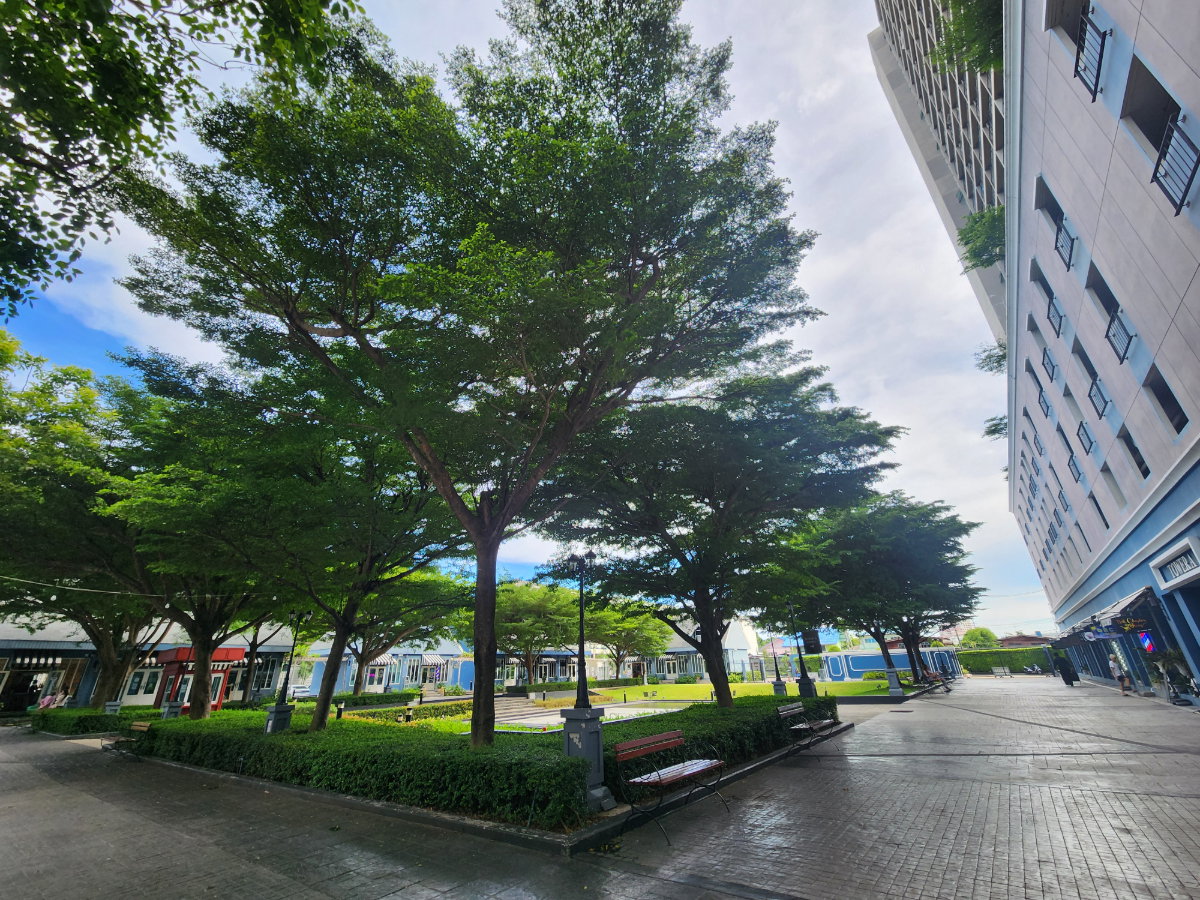 รูป **ห้องว่างครับผม รีโนเวทใหม่ ทาสี เปลี่ยนพื้น เหมือนมือ 1 วิวแม่น้ำ+สวนต้นไม้**ให้เช่า Chapter One Modern Dutch ราษฎร์บูรณะ  ห้องนอนใหญ่ทั้ง 2ห้องครับ - รูปที่ 37/49