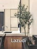 listing thumbnail image 12