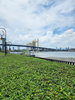 listing thumbnail image 42