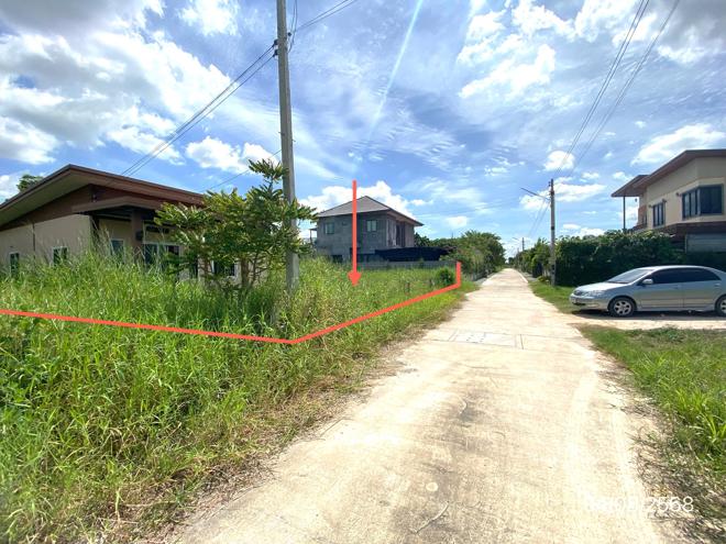 รูป บ้านเดี่ยว 118.4 ตร.วา บ้านบึง ชลบุรี 2.4M - รูปที่ 5/14