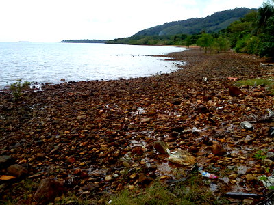 ที่ดิน เกาะช้าง ตราด : ขายที่ดินบนเกาะช้าง แปลงใหญ่ติดทะเล