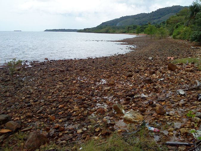 ขายที่ดินบนเกาะช้าง เนื้อที่ 68-1-83 ไร่ แปลงใหญ่มีส่วนที่ติดทะเล และติดภูเขา