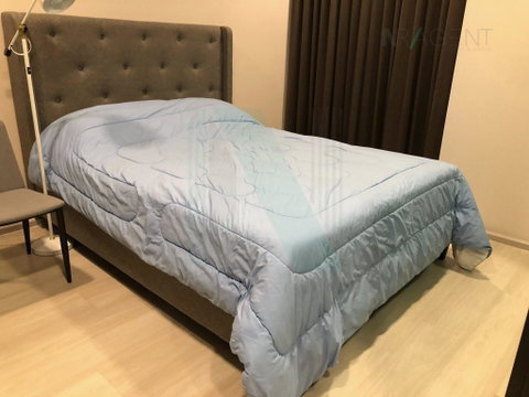 🎉 For Rent Condo VENIO SUKHUMVIT 10 Building 1, Floor 7,1 bed room, Room size 42 sqm