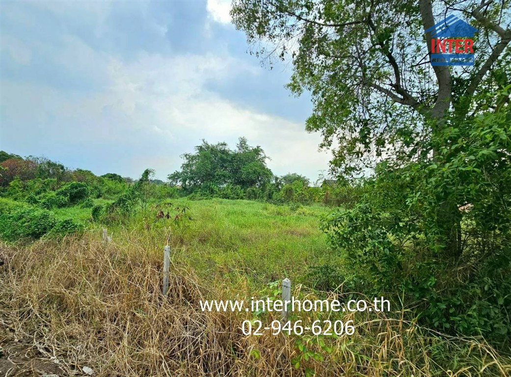 รูป ขายที่ดินติดแม่น้ำเจ้าพระยา ที่ดินริมน้ำเจ้าพระยา ตำบลบ้านใหม่ ใกล้สะพานนนทบุรี ใกล้ถนนเส้น 345  - รูปที่ 12/12
