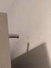 listing thumbnail image 27