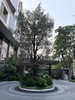 listing thumbnail image 11