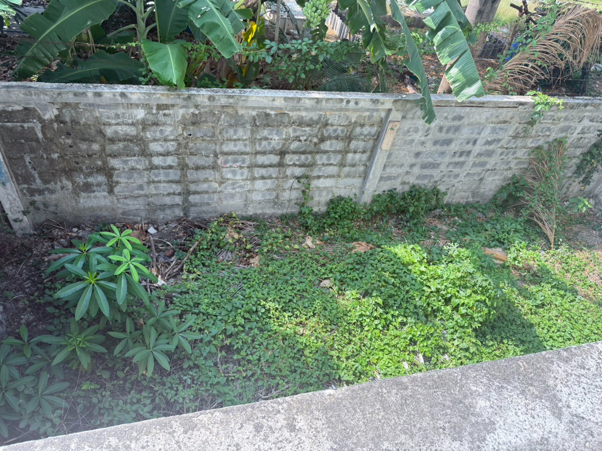 picture Rent for building Bangkhuntein Chaitalay - 9/18