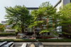 listing thumbnail image 15