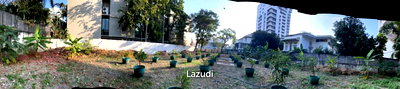 Land for rent J Avenue Thonglor : Beautiful Land for Rent Near Health Land , Big C Ekkamai
