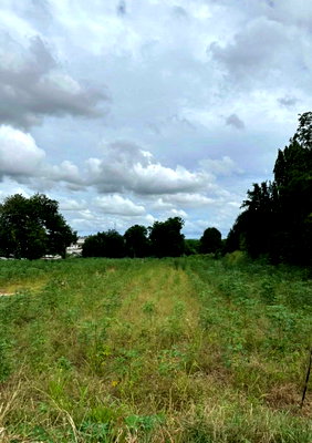 Land for sale : Beautiful plot of land in Nong Kham, Sriracha, near the industrial estate.