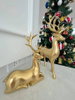 listing thumbnail image 23